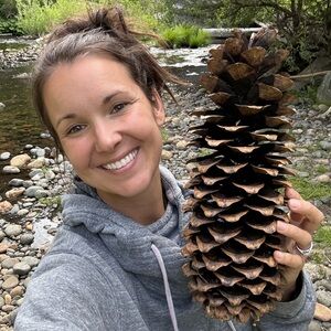 Giant Pine Cones Organic (not treated)
